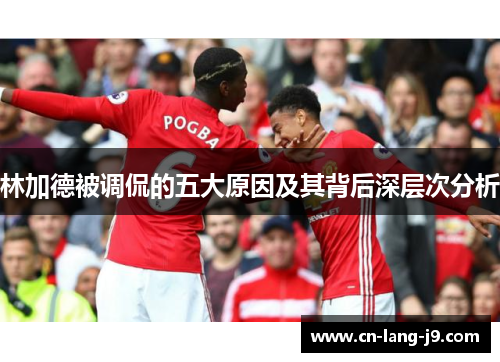 林加德被调侃的五大原因及其背后深层次分析